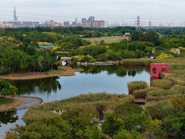 秋高气爽赏滨城丨滨城秋色渐浓 临港湿地绘就生态画卷
