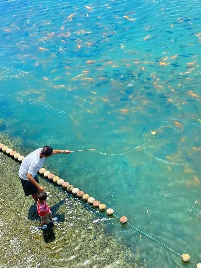 别再说福安没地方玩！会玩的人都去这座小镇“踏溜”了！