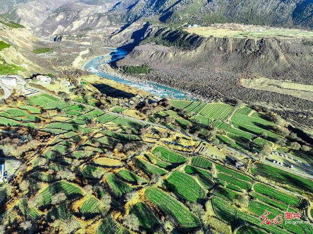 雅鲁藏布大峡谷冬景美如画