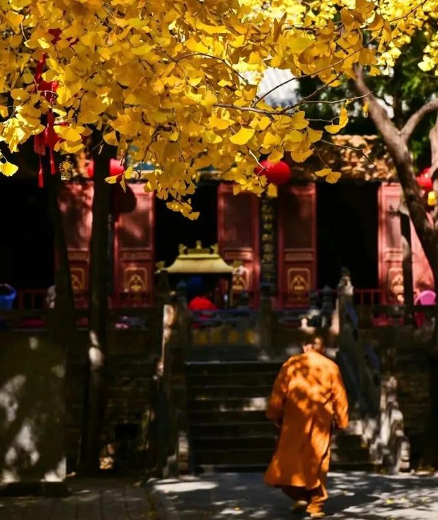 周末出发！河南最美彩色地图上线