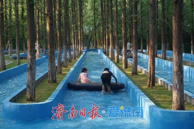 一年四季 泉在济南丨避暑新地标，鲜花港杉林水乐园、杉水间营地开业啦