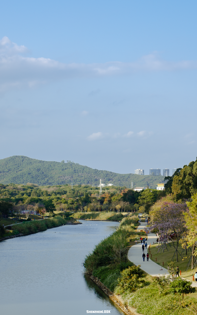 “看牛看海看夜景，深圳骑行路线精选”