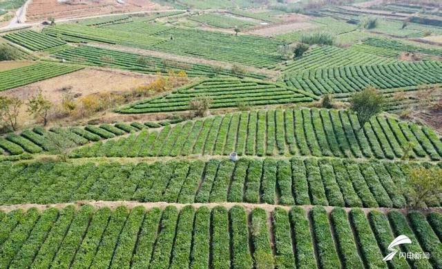 日照东港后村镇初冬限定！藏着最温柔的岁月痕迹