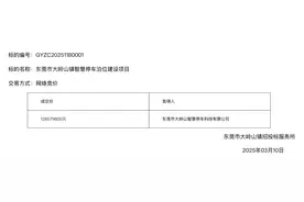东莞大岭山回应1.27亿“卖”车位：规范停车管理、盘活车位资源图片