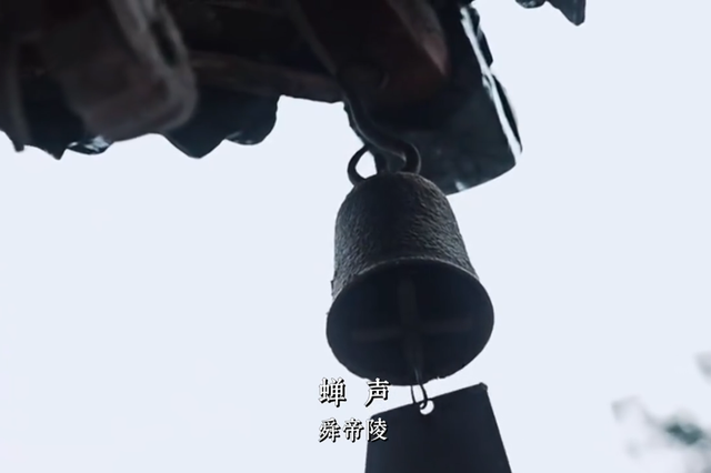 关掉BGM吧！这个夏天，运城大自然的声音比任何音乐都动人