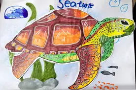 绘画：多彩乌龟｜烟台中小学生“才艺秀”作品选登图片