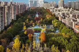 上海中心城区最年轻街道之一，十年间发生了什么改变？图片