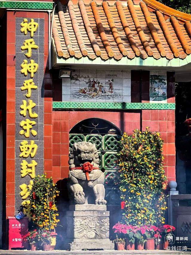 晚潮｜昌化岭下访苏记