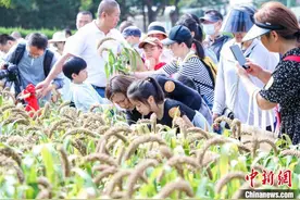 老字号云集古建馆 北京先农坛举办农耕体验季秋收活动图片