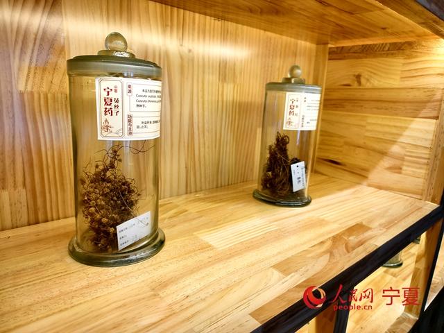 从“药香绵长”到智能按摩机器人 第七届中阿博览会展现“中国制造”智慧