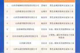 2025山西省民营企业百强榜单发布图片