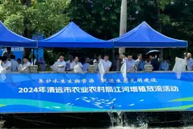 放鱼啦~！清远投放440万尾鱼苗𓆡𓆝𓆟𓆜图片