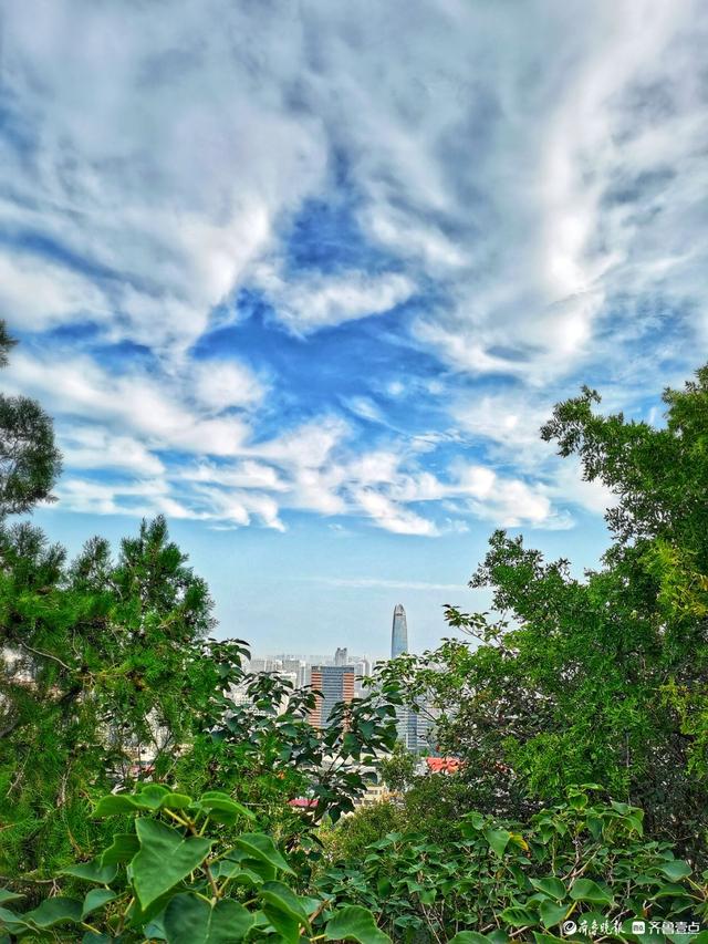 秋韵美景，蓝天白云下的济南英雄山