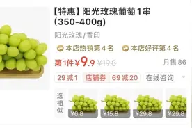 又又又降价了！葡萄界“爱马仕”最低9.9元一串？广东正大量上市图片