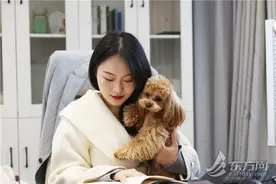 沪上兴起“宠物友好办公” 带猫狗去上班、和毛孩子做同事，你愿意吗？图片