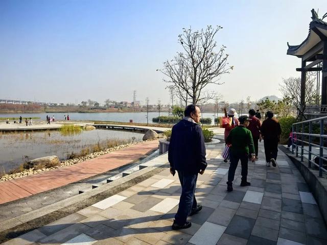 大批市民游客打卡！增城又一公园迎来试开园→