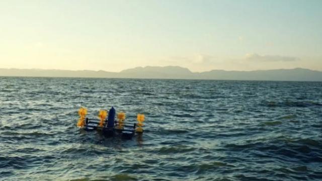 绝了！一汪清水引鱼回，美到出圈还能赚钱丨只此青绿 江山答卷