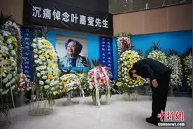 叶落有声！人们排长队献花，送她最后一程图片