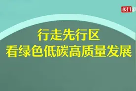 行走先行区|牡丹→籽油→护肤，山东菏泽“富贵之花”变成“富民之花”图片