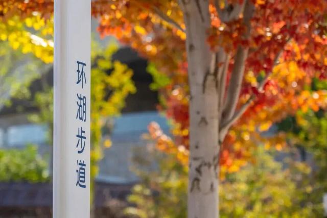 多彩京秋各区巡游 | 延庆区“赏秋日记” 一园秋色，满目画卷