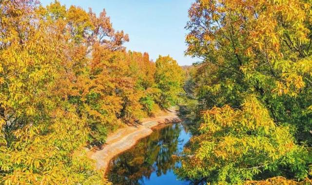 溪如画，影成诗……被舜耕山的初冬美景治愈了！