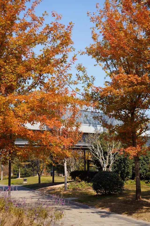 普陀·遇见新视角｜解锁专属你的氛围感大片，秋冬就来普陀这里拍→