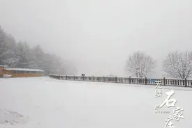 一夜入“冬”，石家庄这里下雪啦！图片