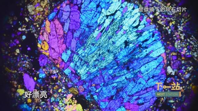 不容错过！解锁上海秋冬新玩法