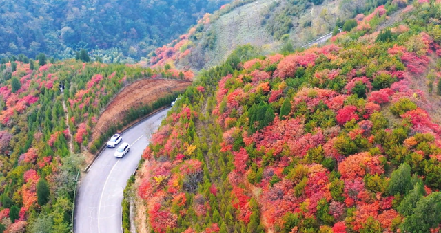 美绝！临潼初冬的含金量还在上升→