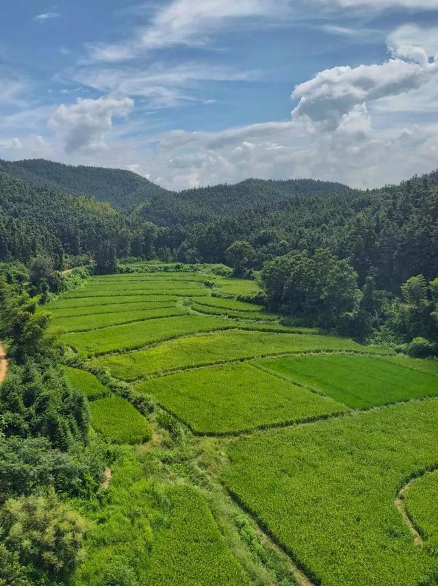 赣鄱青黛处，水墨映归程