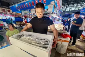 中秋假期临近，青岛本地螃蟹涨价了，鱼类价格平稳图片