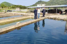 出口免税“活水”润泽  黔南鲟鱼乘风破浪图片