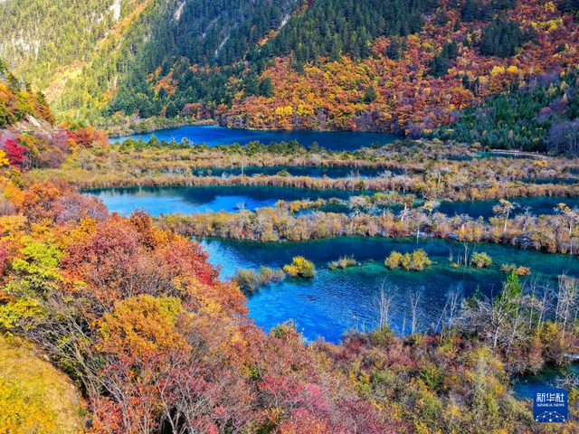 中国经济样本观察·县域样本篇丨不简单！这个“沟”撑起百亿文旅产业