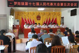 兴宁市罗岗镇十七届人大五次会议召开图片