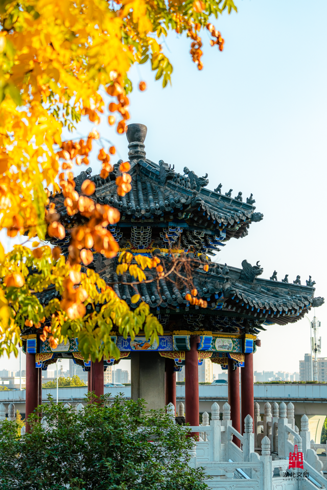 湖北这6座公园,你去过一半算我输!