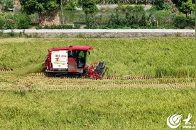 农机梦想家丨首代跨区人：雷沃谷神跨越26载丰收路图片