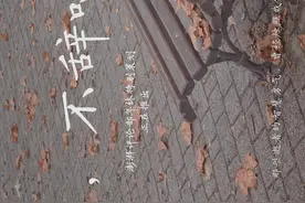 落叶有声，不辞唱遍阳春图片
