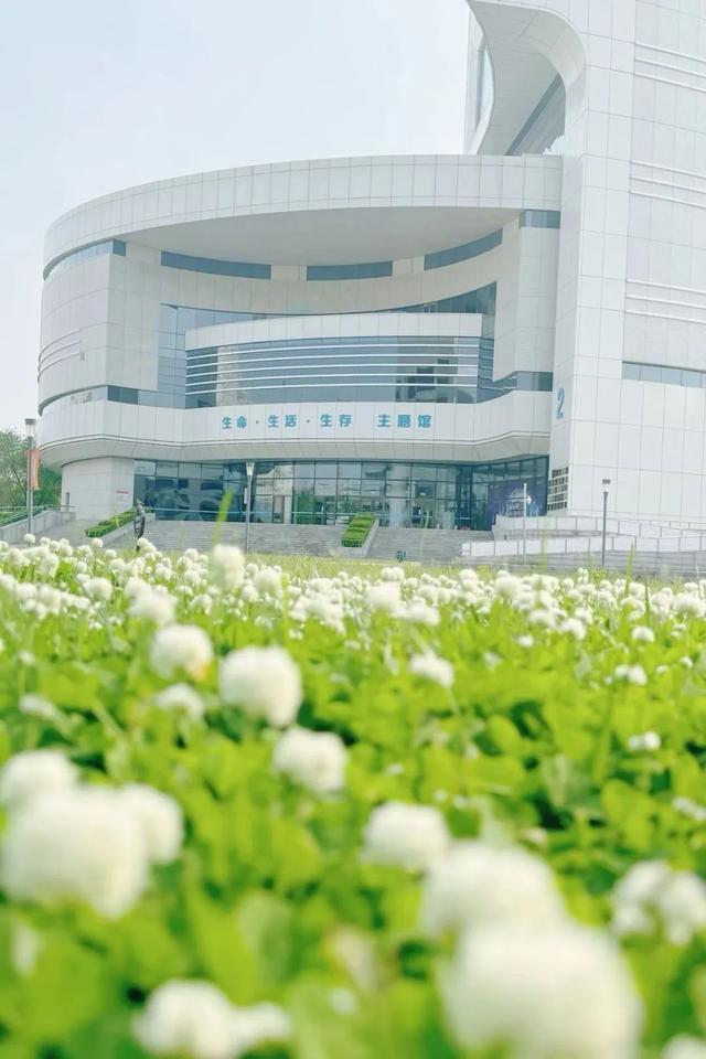 观众留言板｜谁懂啊！看展竟这么治愈？“花园式北京科学中心” 好逛到不想走！