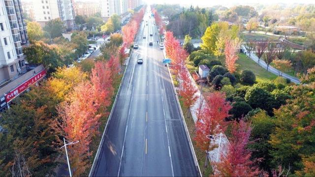 🧡宿城，已经美成这样！