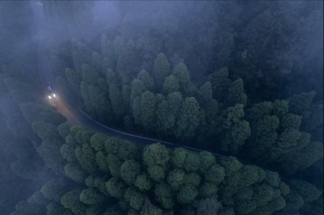 去白云看云——在黔山褶皱里，赴一场与云的慢遇