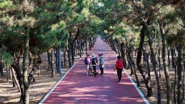 乘着高铁冬游南海 解锁宝藏旅居目的地