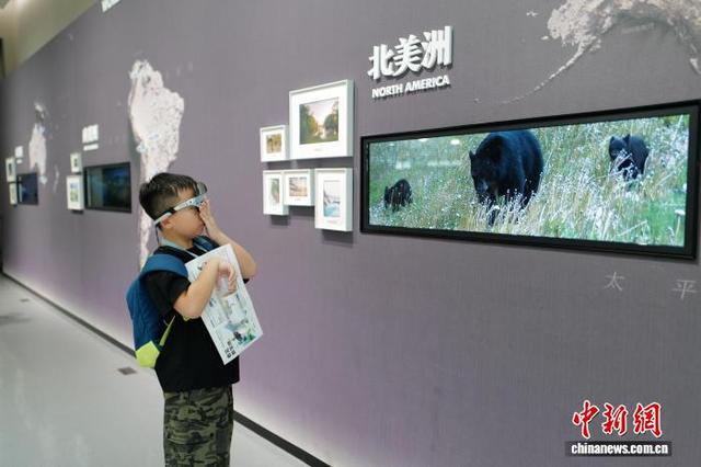 中国湿地博物馆夏日引游人 尽显人与自然之美