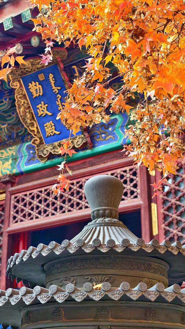 于香山叶脉间，读懂了这座城的秋天