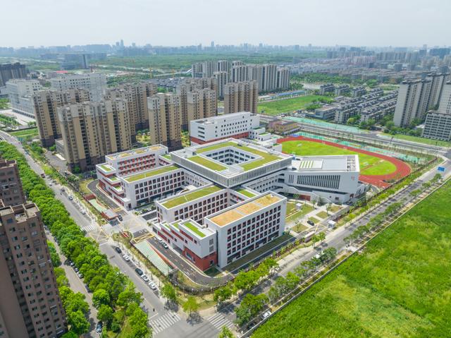 金汇：“四金”平台点燃经济引擎，十年巨变重塑奉贤北门户