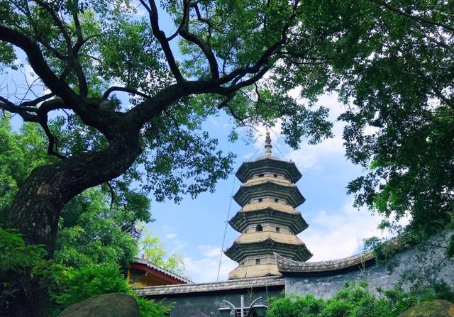 没想到，冬日的黎明湖公园这么美！