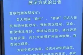 因频繁打闹各住单间，杭州动物园两只大熊猫已分开饲养图片