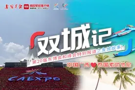 双城记丨广西&素叻他尼：一个海岛，凝聚双边交往的人气图片