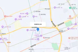 45分钟售罄！上海又现日光盘豪宅！图片