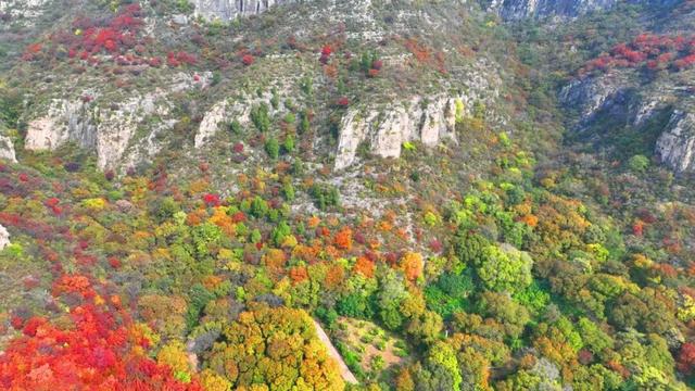 解锁“美拉德”色系！东平的秋天是懂氛围感的