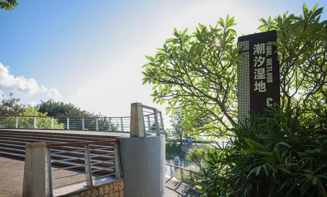 到深圳湾潮汐湿地公园，看红树林更美的潮起潮落